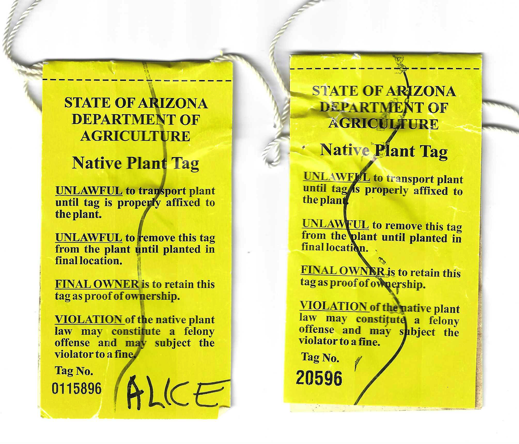 AZ native plant tags NPT44 native plant tag U F-VF, 2 tags with diff size serial numbers