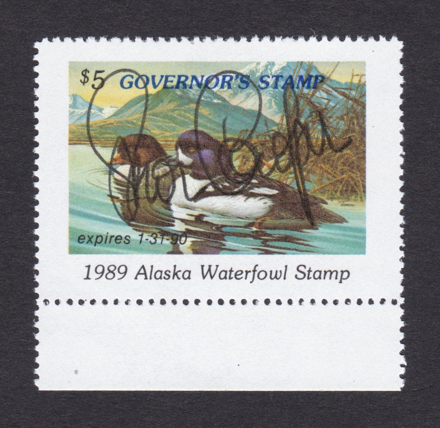 AK waterfowl W5GS $5 NH VF, 1989 Governor's Edition, hand signed by Steve Cowper P