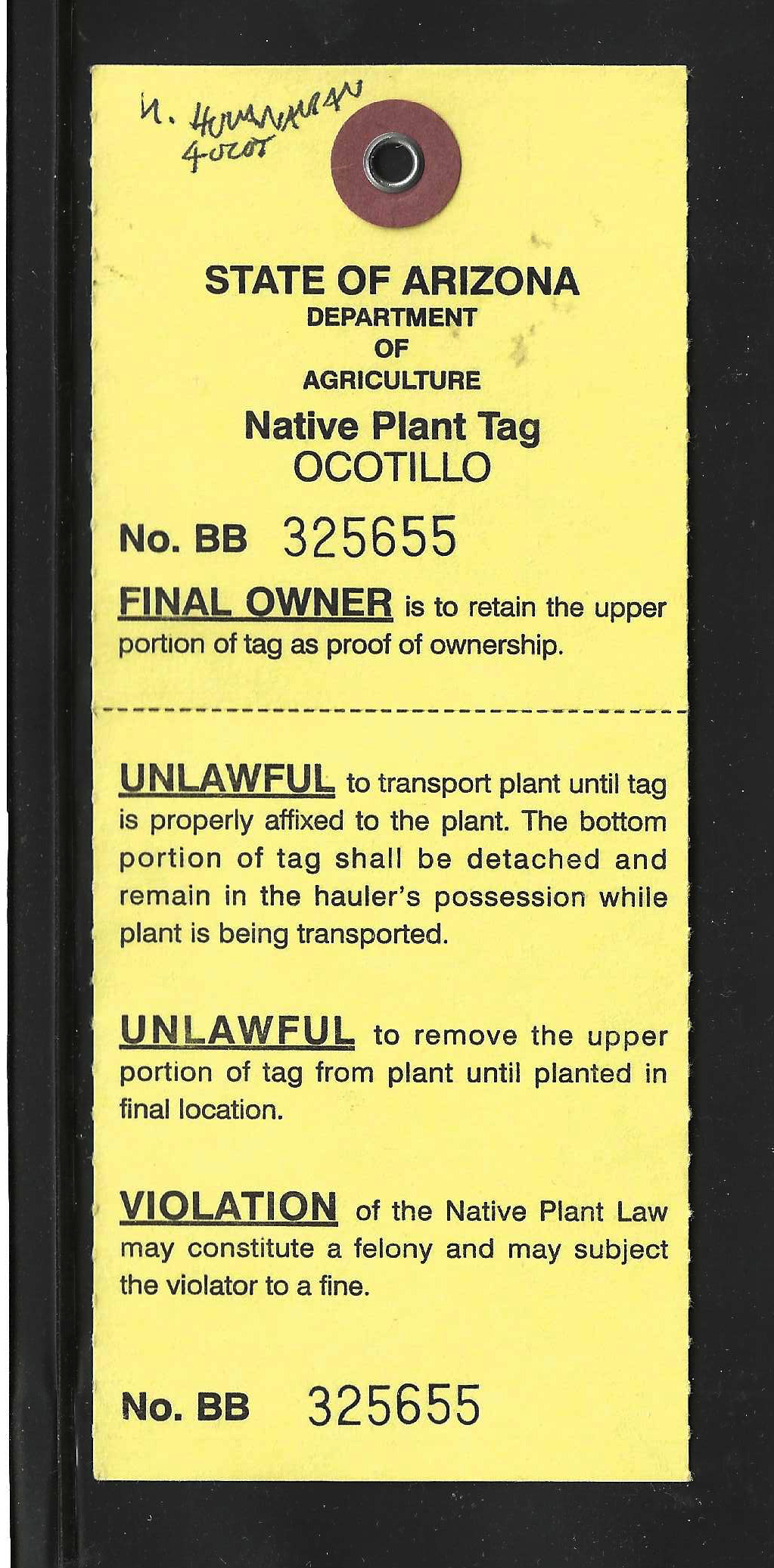 AZ native plant tag NPT18 ocotillo U VF
